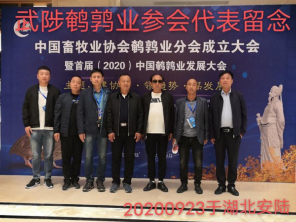 這一年，謝謝自己155